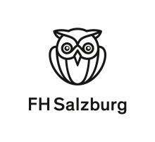 Tourismusforschung FH Salzburg Brennpunkt Etourism